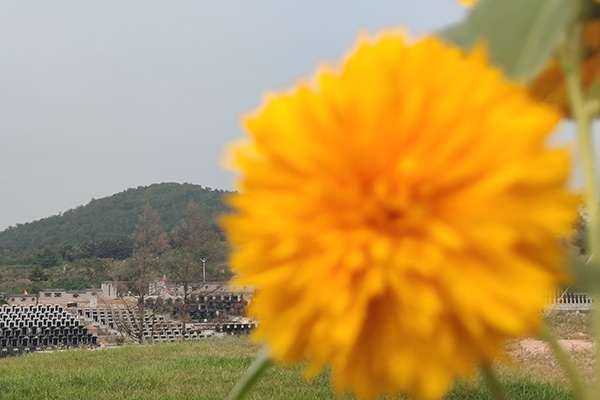 南京墓地规划与设计研究