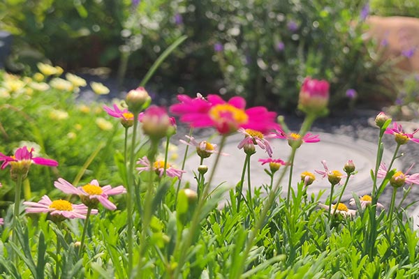 北京墓园节地生态安葬基本规范